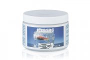 Iceberg - ledový blok rostoucí