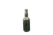 Beer Bottle no. 6