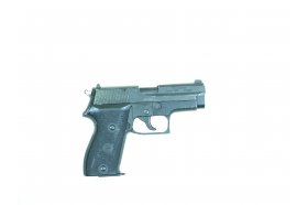 Sig Sauer(2)